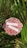 A circular fabric with a floral pattern featuring red and pink roses is placed among green palm leaves. Two strips of paper with handwritten text are laid across the fabric. The text reads: 'I KNOW WE BELIEVE IN GOD. AND I KNOW GOD BELIEVE IN US.' Sunlight is casting shadows, adding depth to the scene.