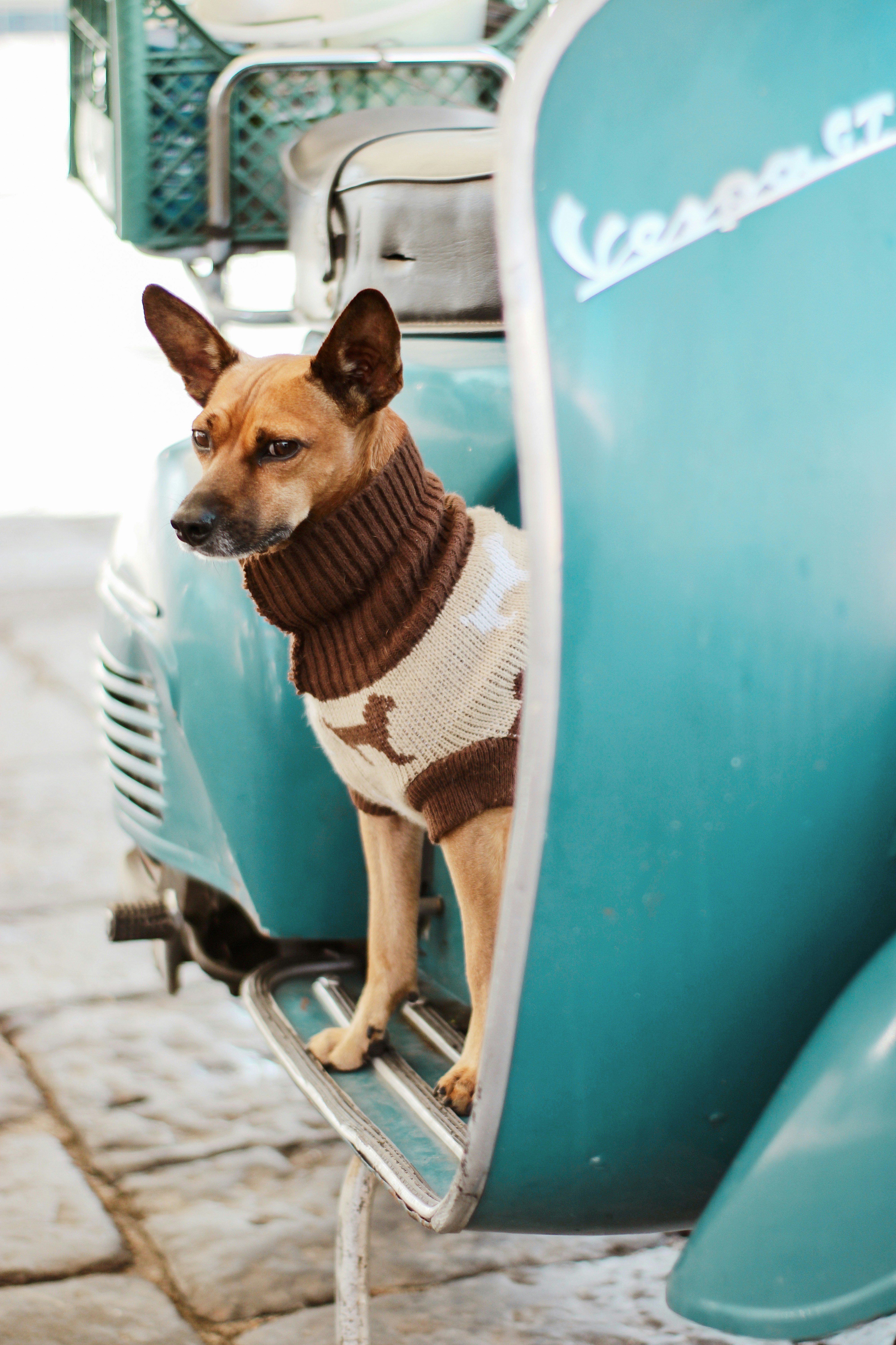 The Quantum Mechanics of Memory: How Your Brain Might Store Information