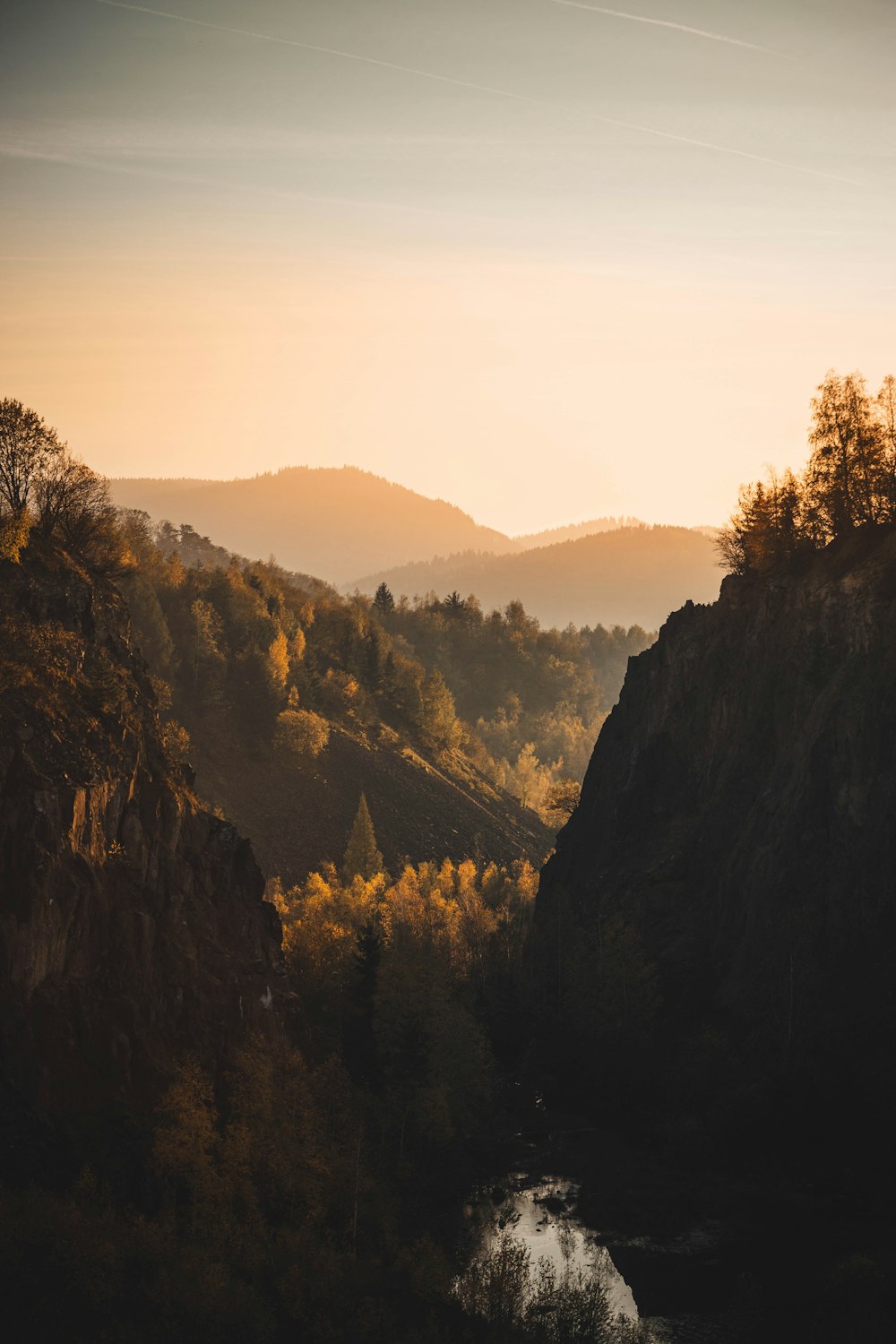 green trees on mountain during daytime