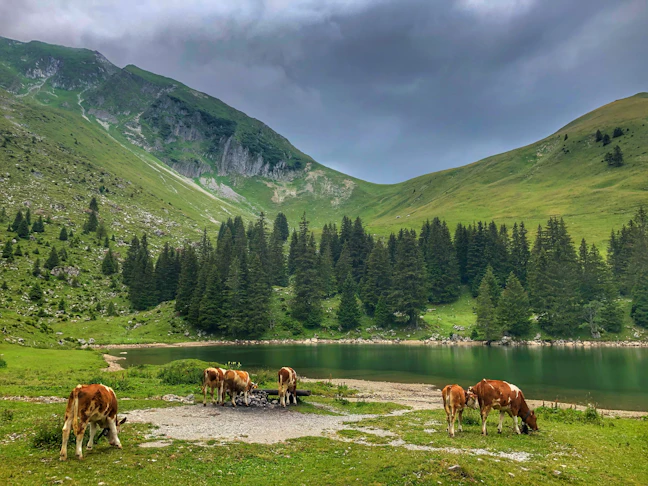16-Day Central Europe Scenic Budget Itinerary (July)