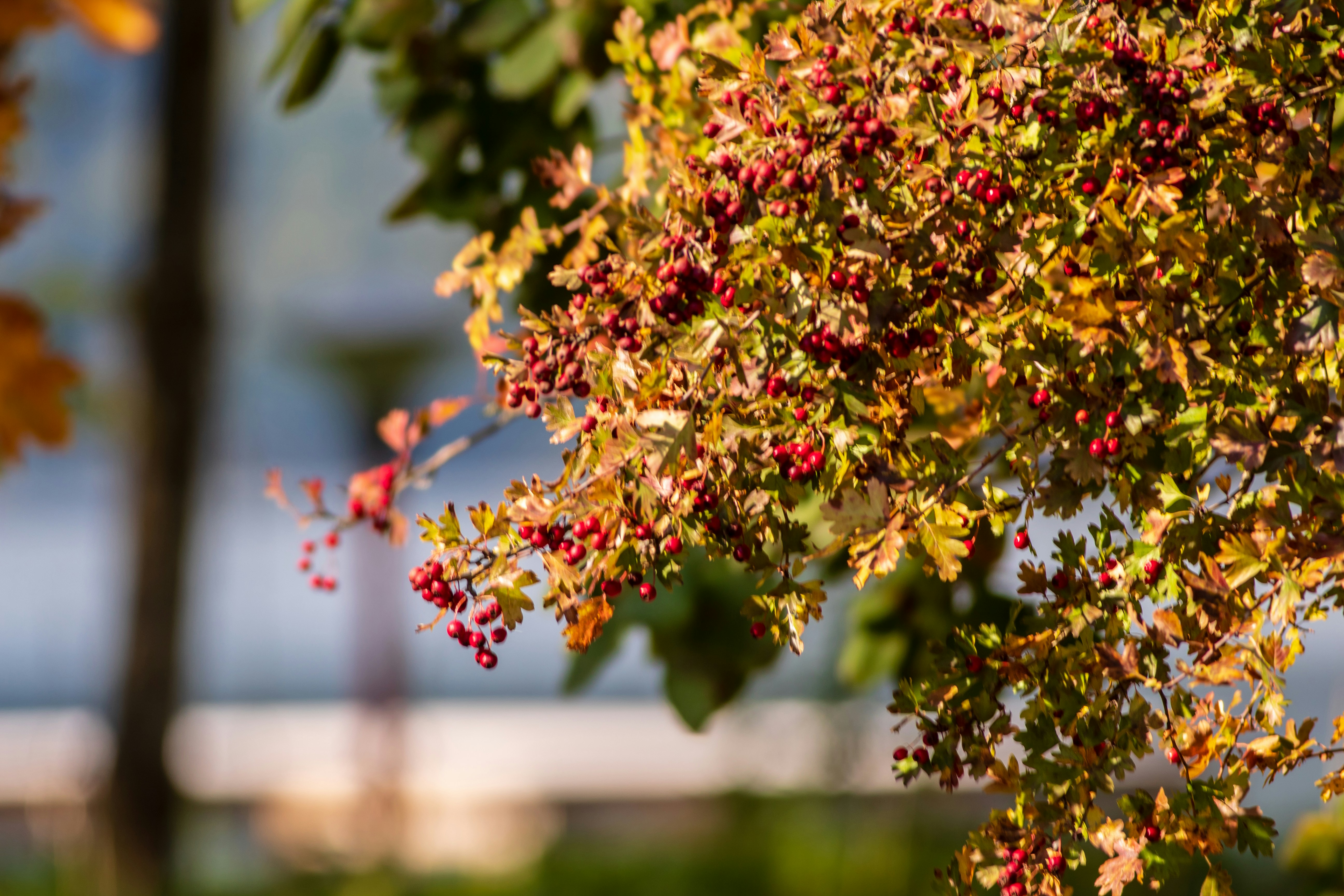 Photo by photoroutes