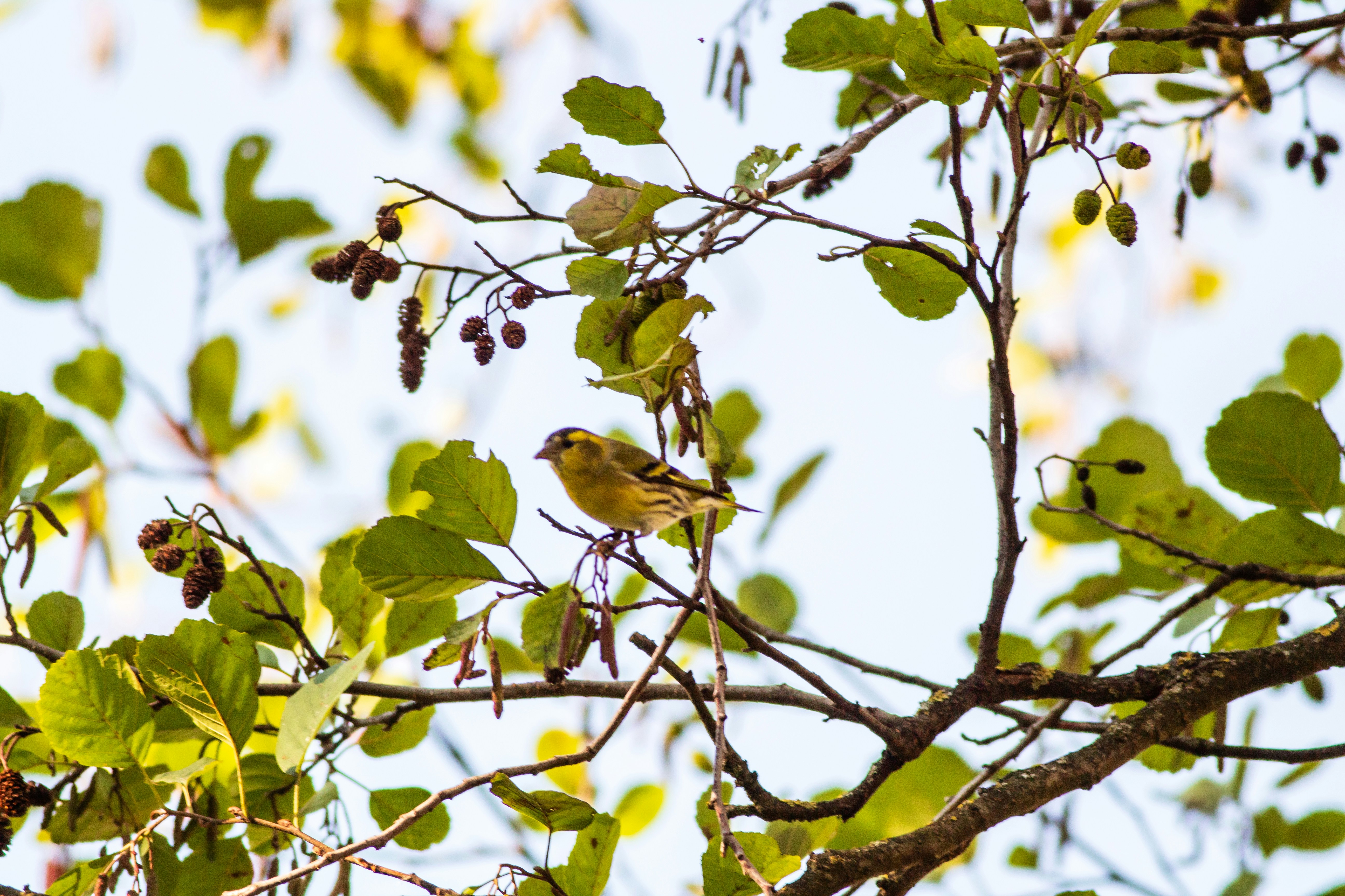 Photo by photoroutes