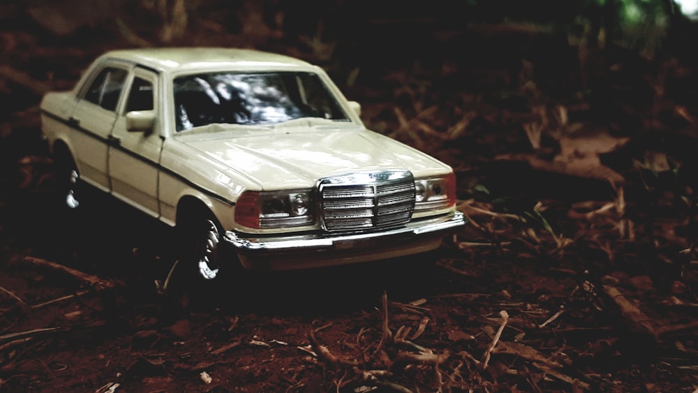 white sedan on brown dried leaves