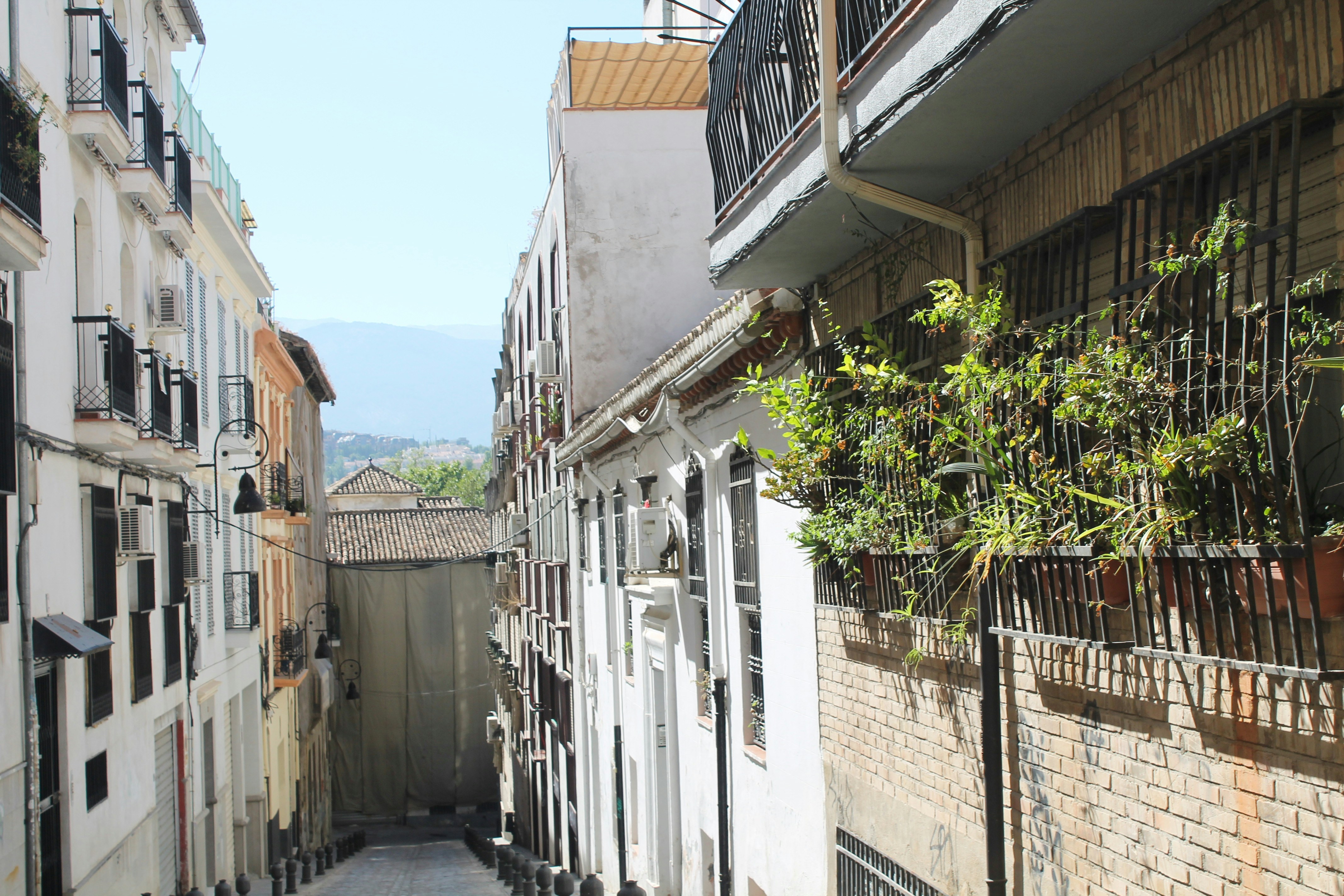 white and brown concrete houses during daytime