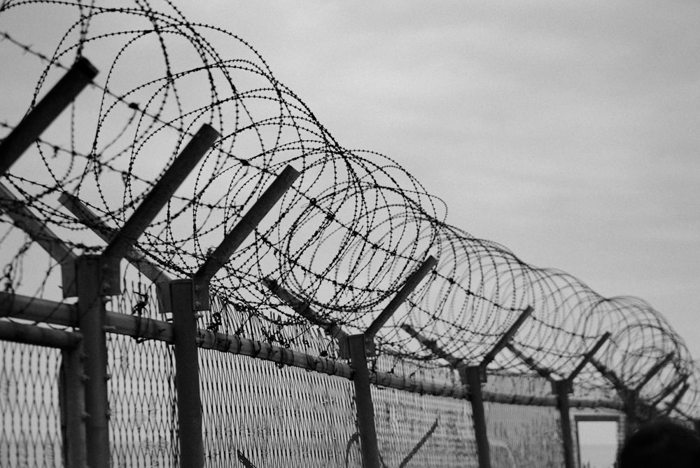 grayscale photo of metal fence