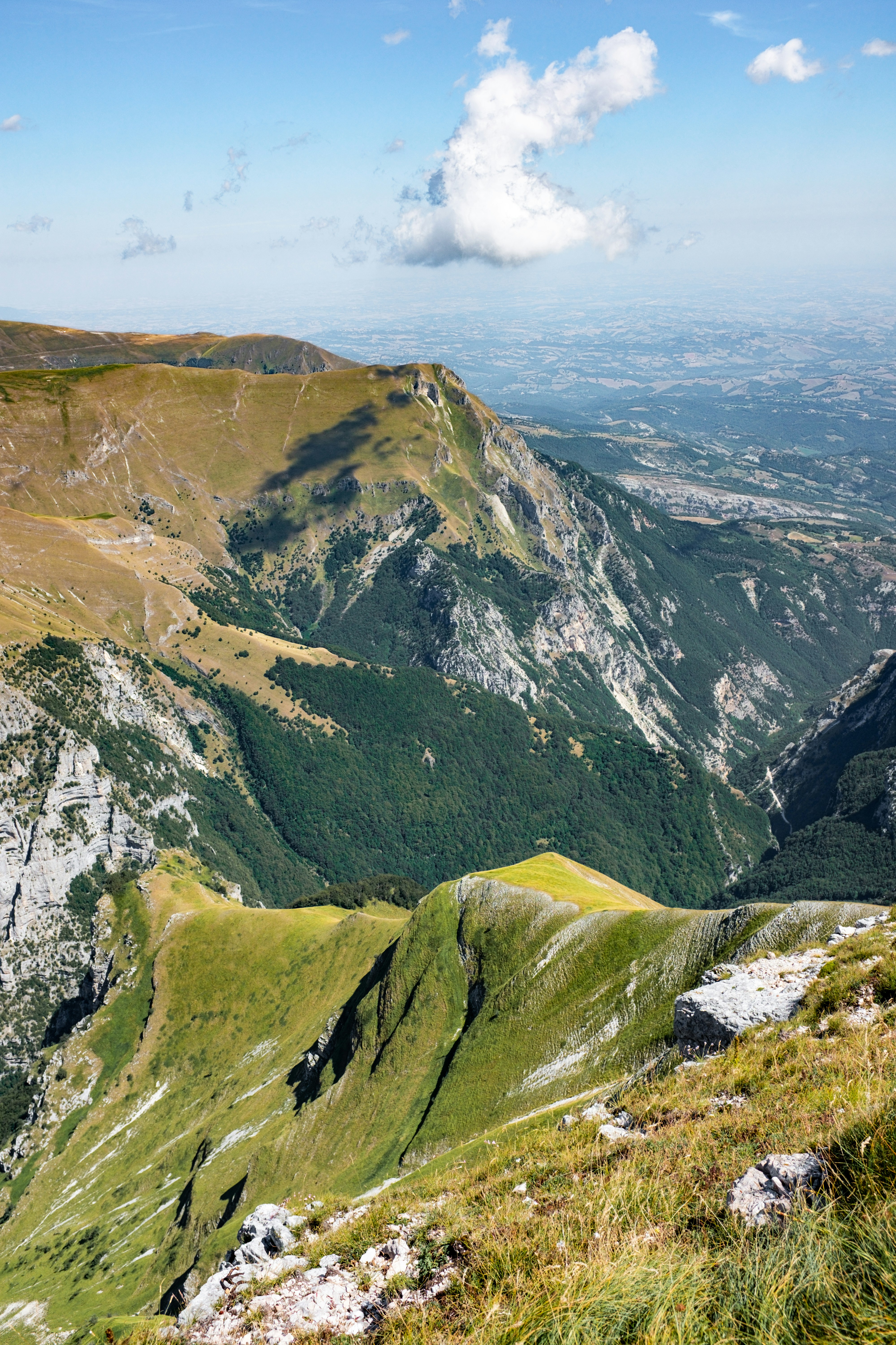 Photo by bernardhermant