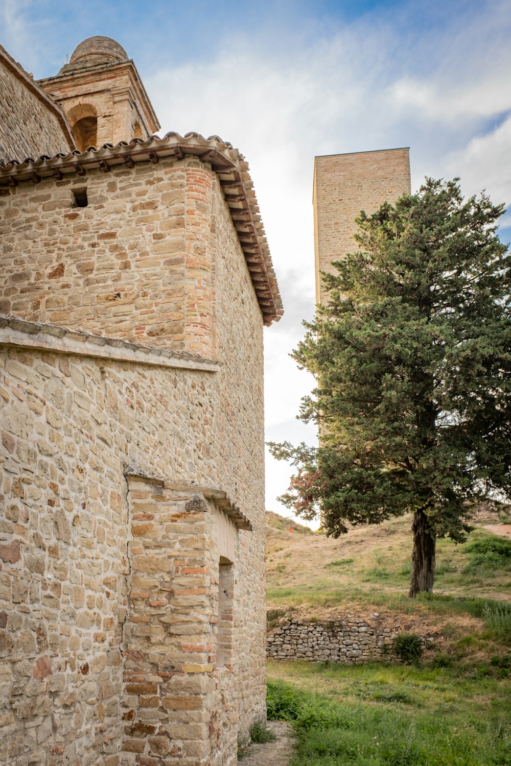 Árbol verde junto al edificio de ladrillo marrón