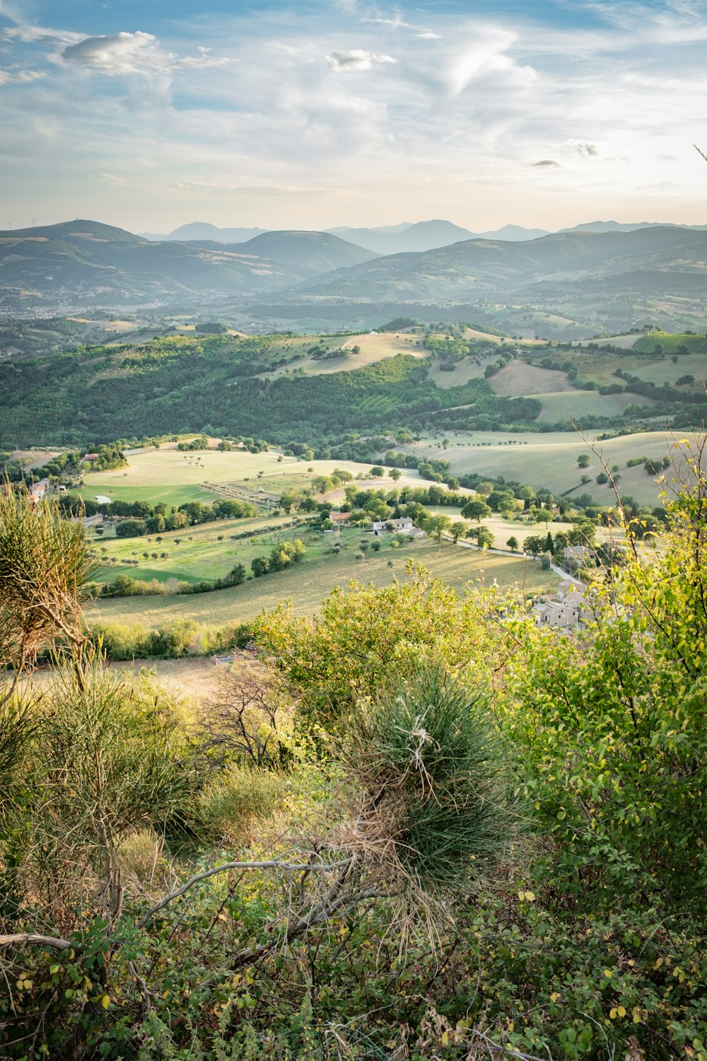 campo di erba verde e montagne durante il giorno