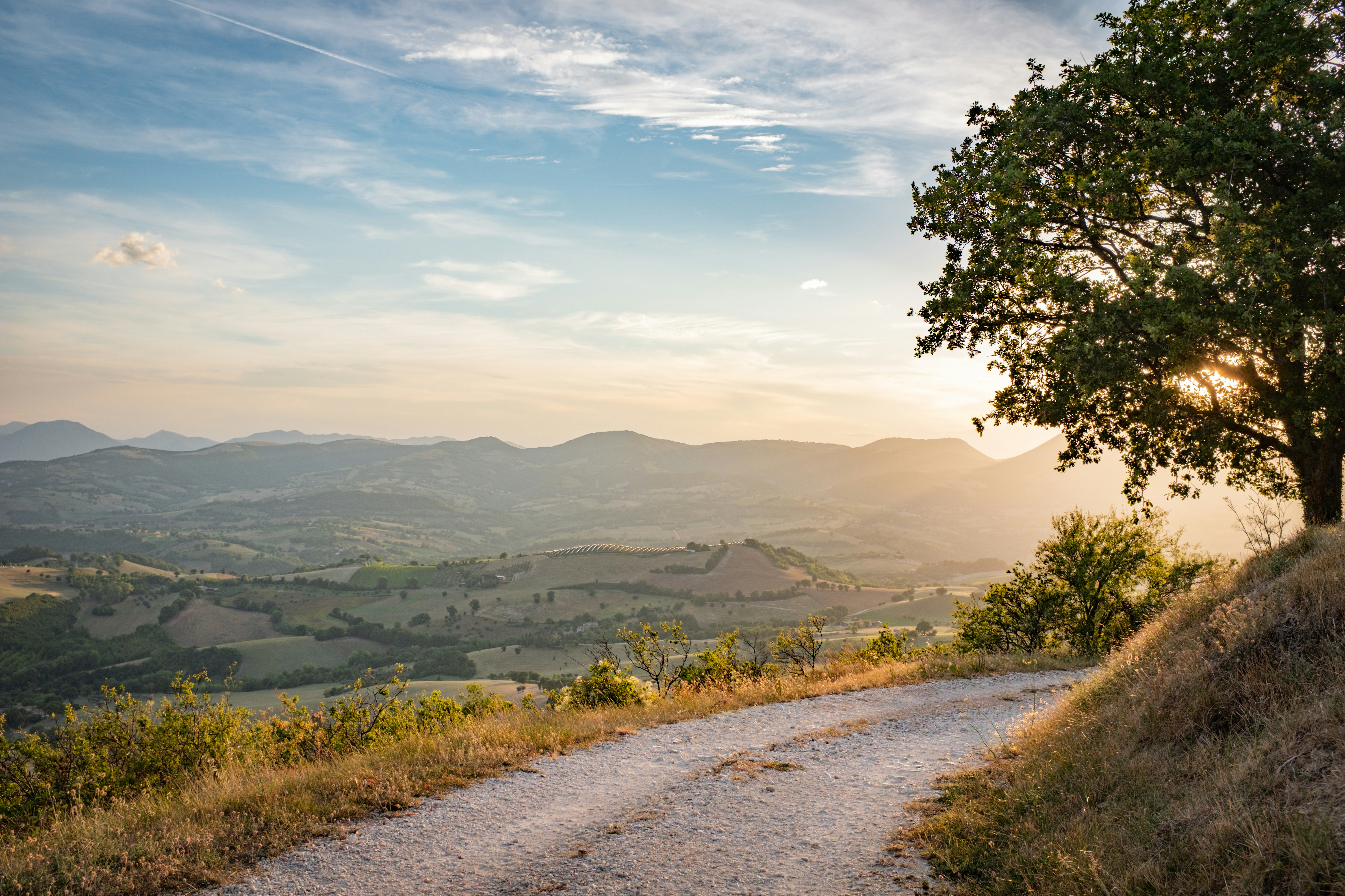 Photo by bernardhermant