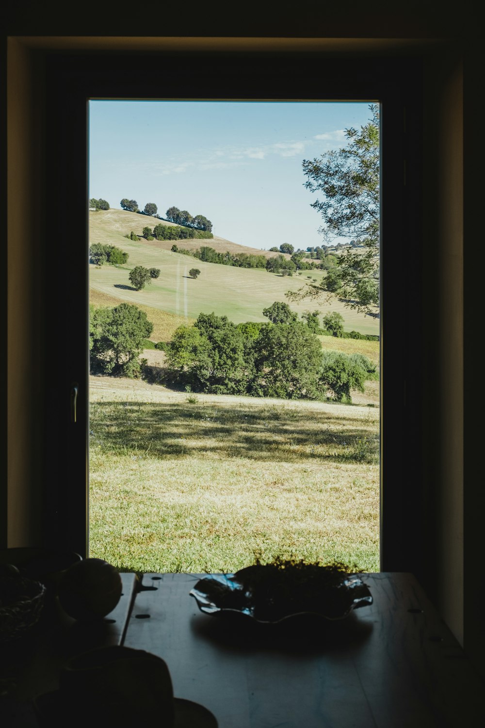 green grass field and trees during daytime