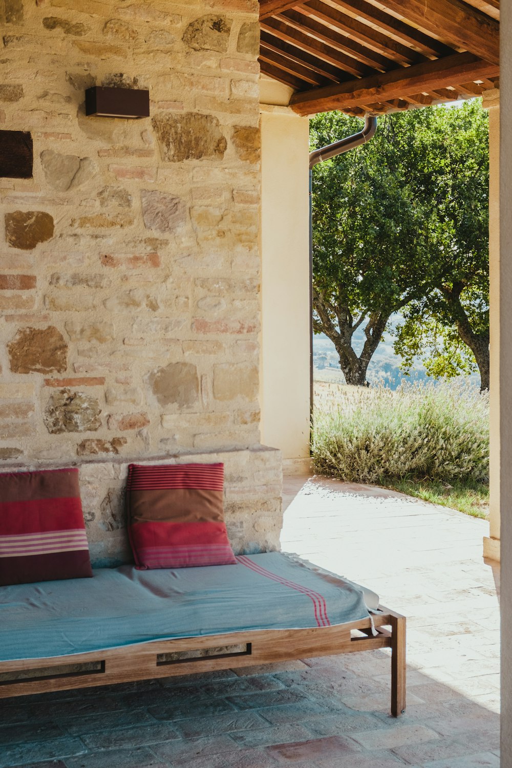 red and blue sofa near green leaf tree during daytime