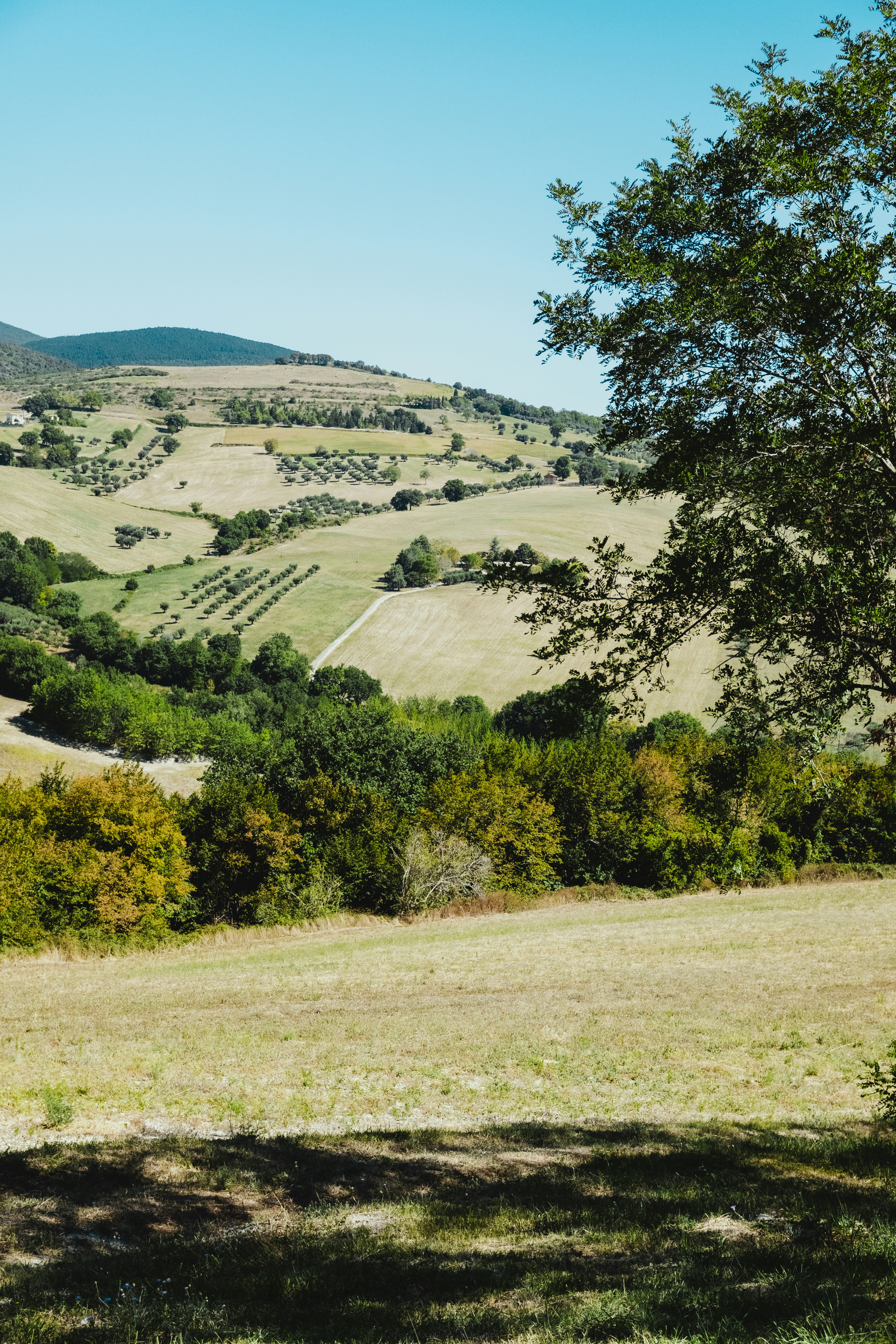 Photo by bernardhermant