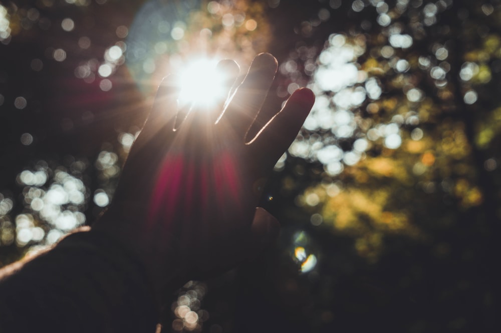 persons hand with light