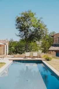 green tree beside swimming pool during daytime