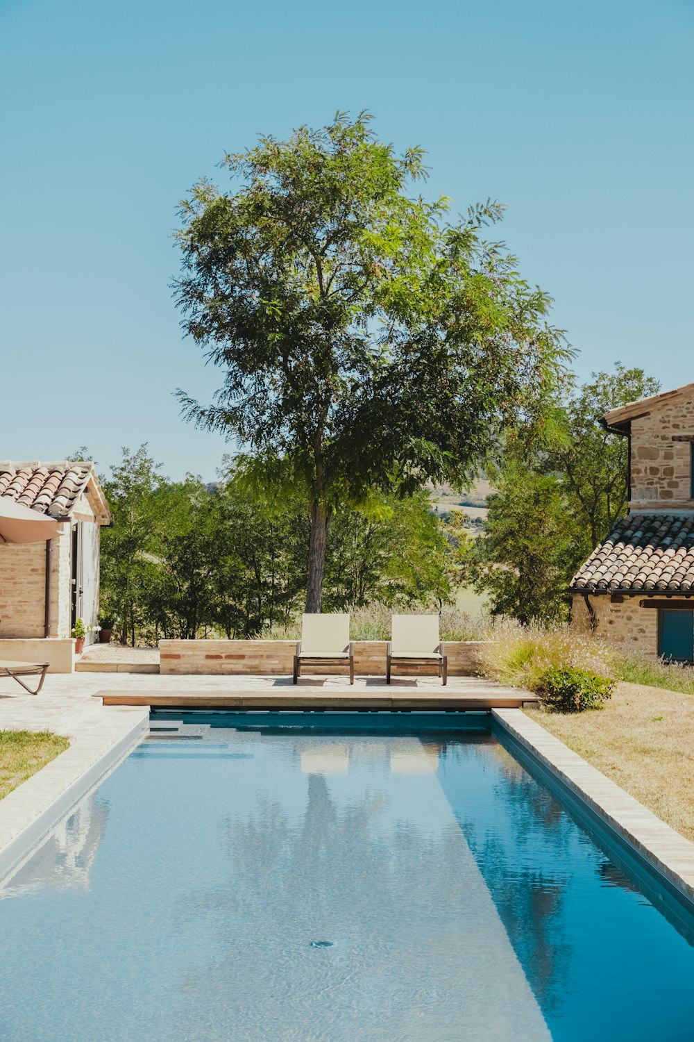 árvore verde ao lado da piscina durante o dia