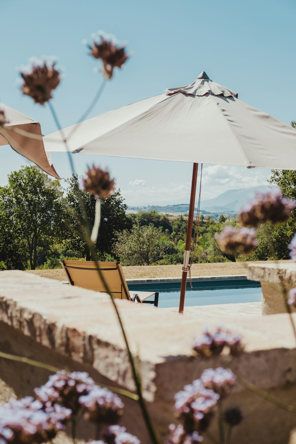 white umbrella on brown concrete bench near swimming pool during daytime