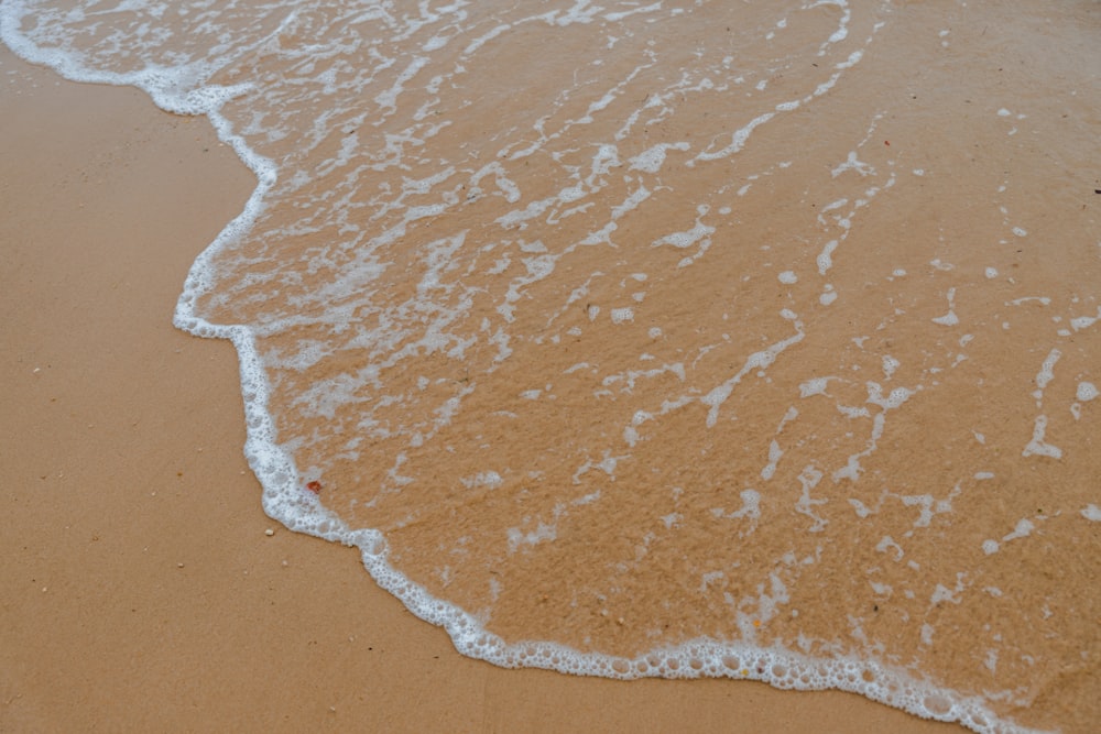 brown sand beach during daytime