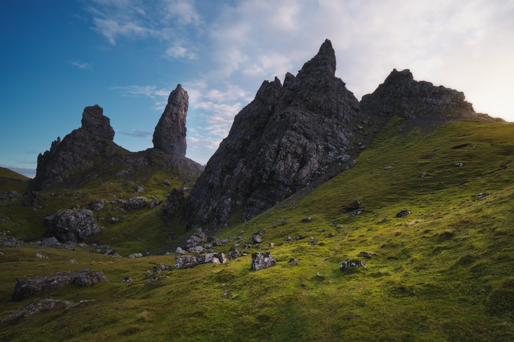 a group of rocks on a grassy hill