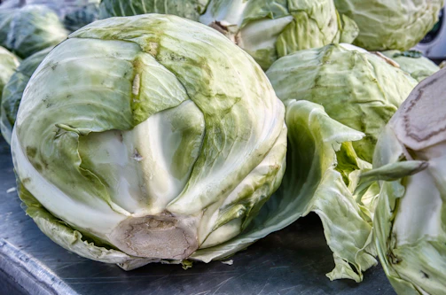 Stacks of freshly harvested cabbage heads ready for distribution at the CV Suroya Group hub.
