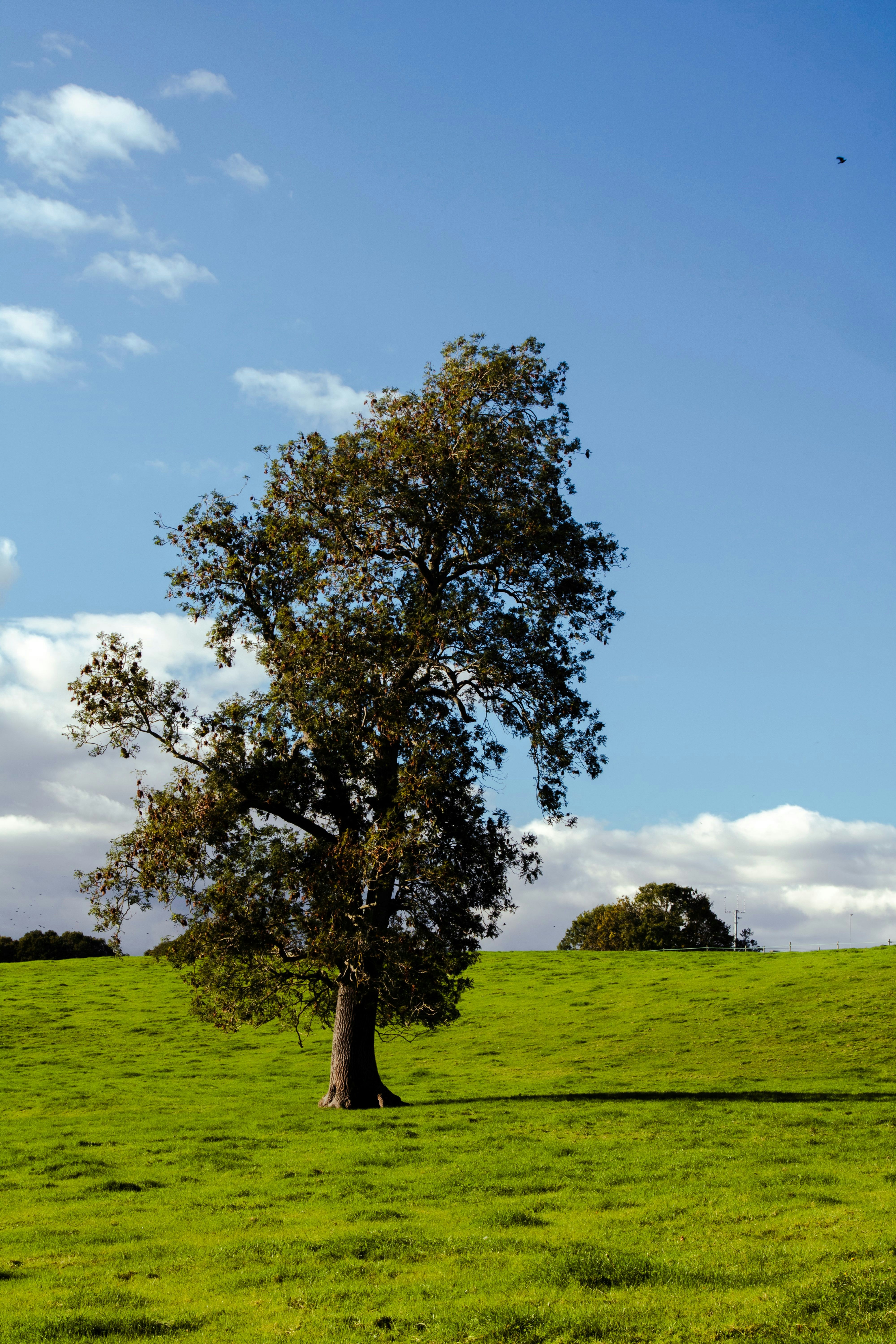 Photo by itscakefortea