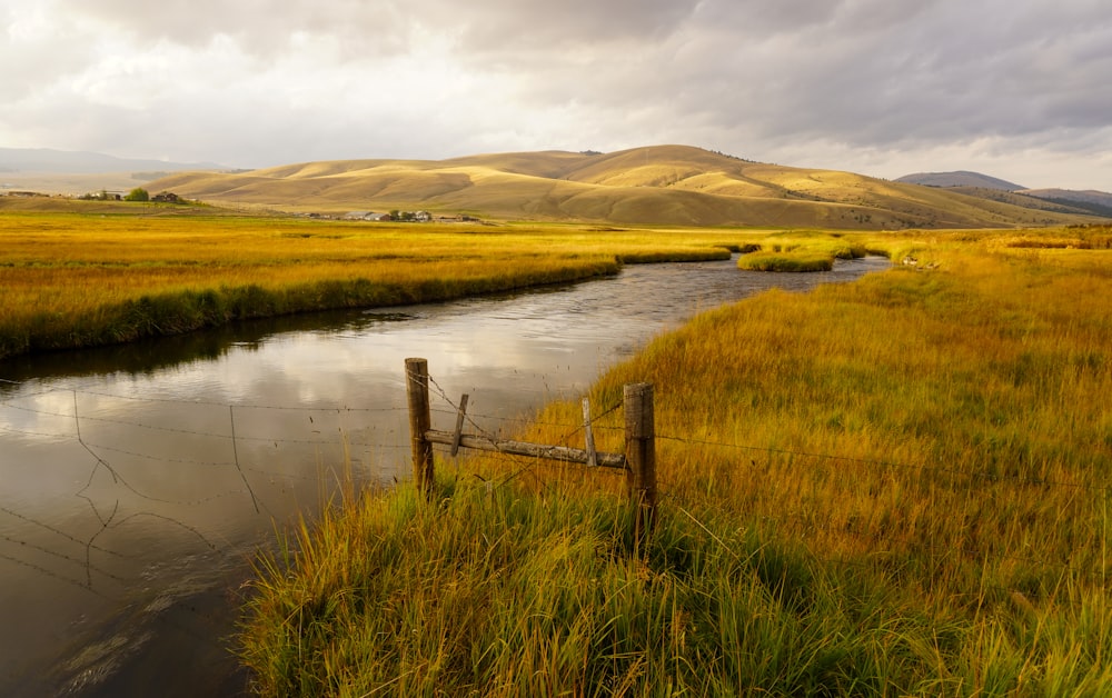 brown wooden fence on green grass field near lake during daytime