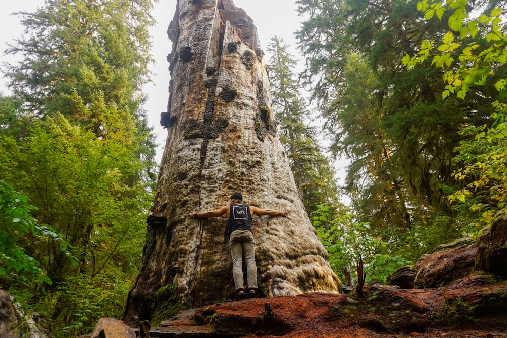 person in black jacket standing on brown rock formation during daytime