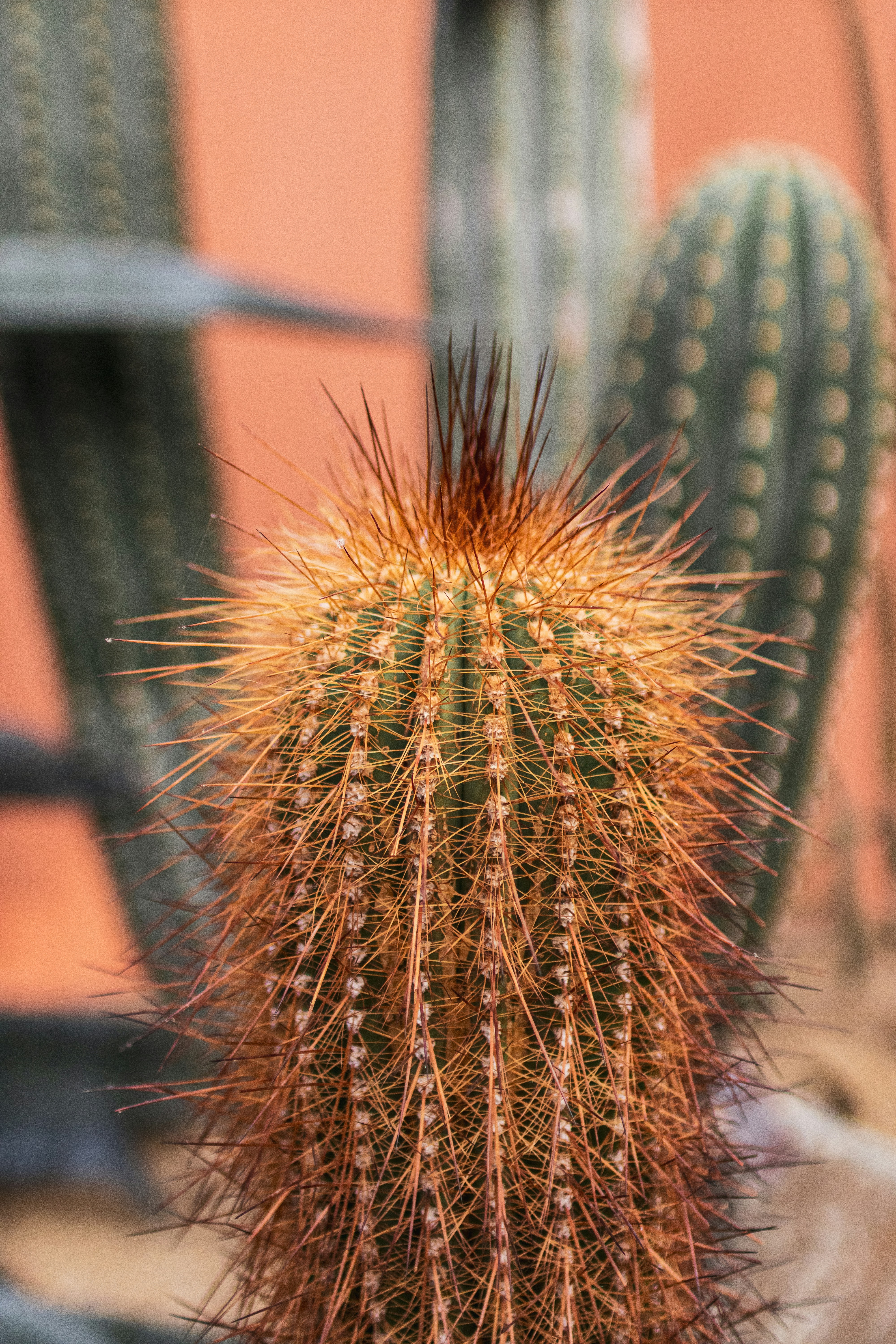 Photo by clemencetaillez