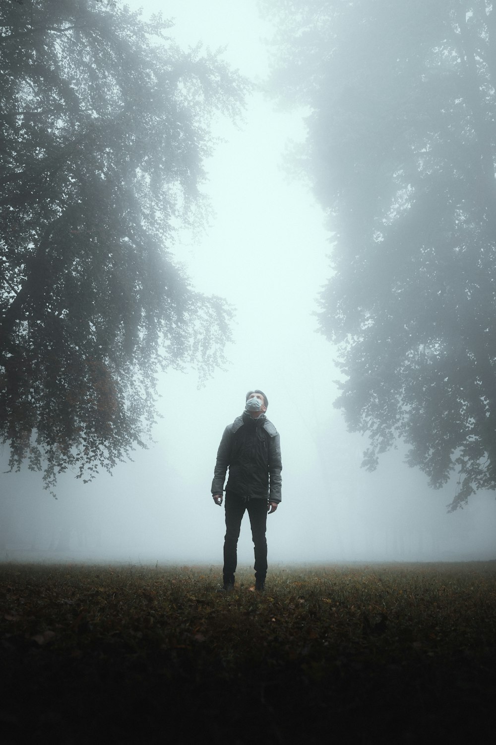 man in black coat standing on foggy forest