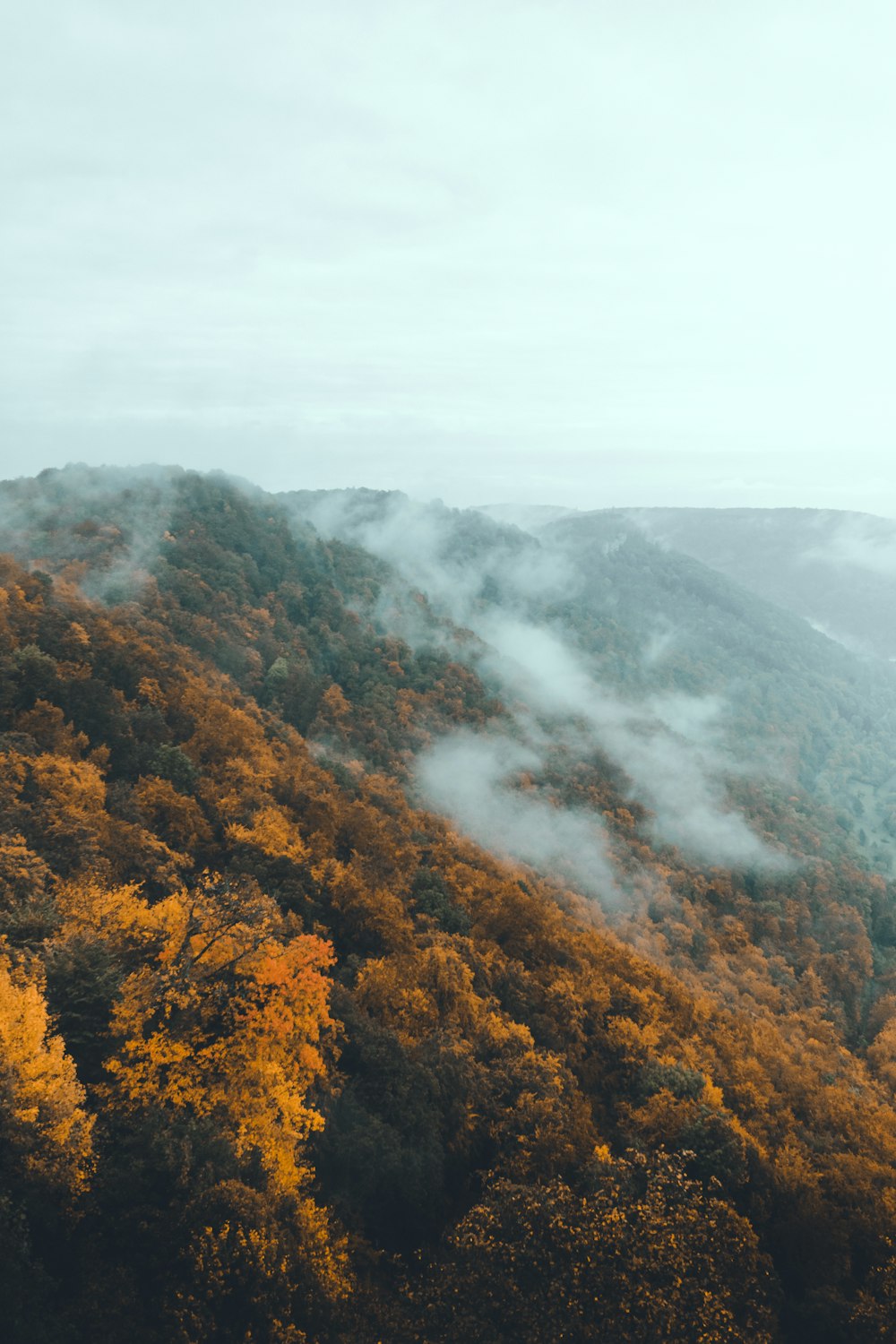 brown and green trees on mountain under white clouds during daytime