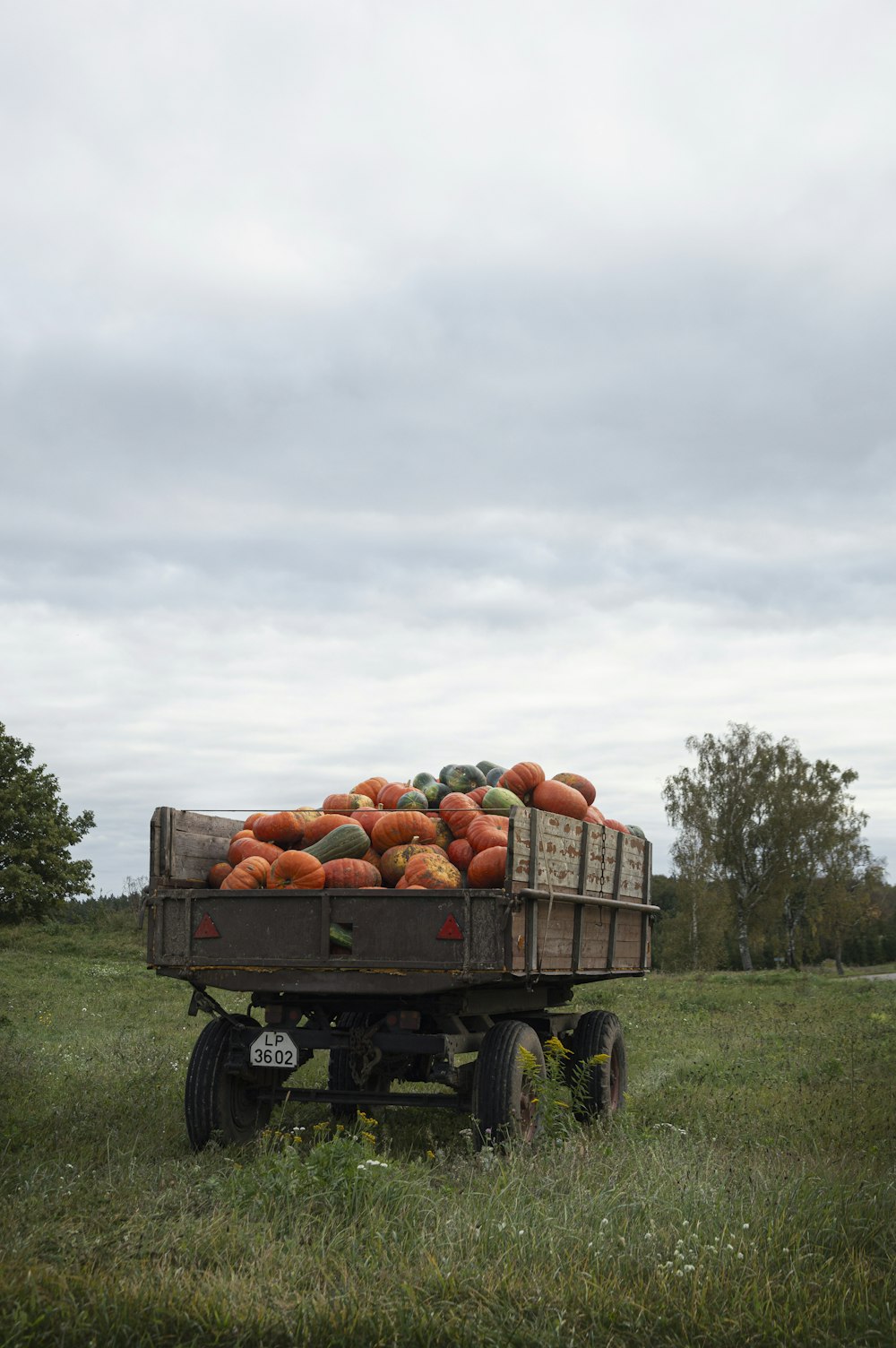 brown wooden trailer with orange pumpkins on top under white clouds during daytime