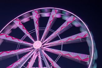 purple and white ferris wheel