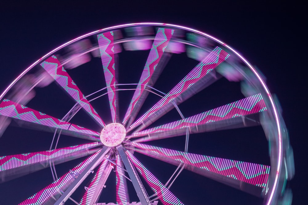 purple and white ferris wheel