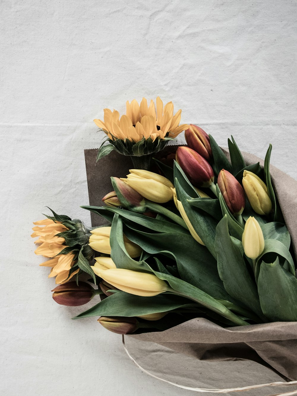 yellow tulips on white table