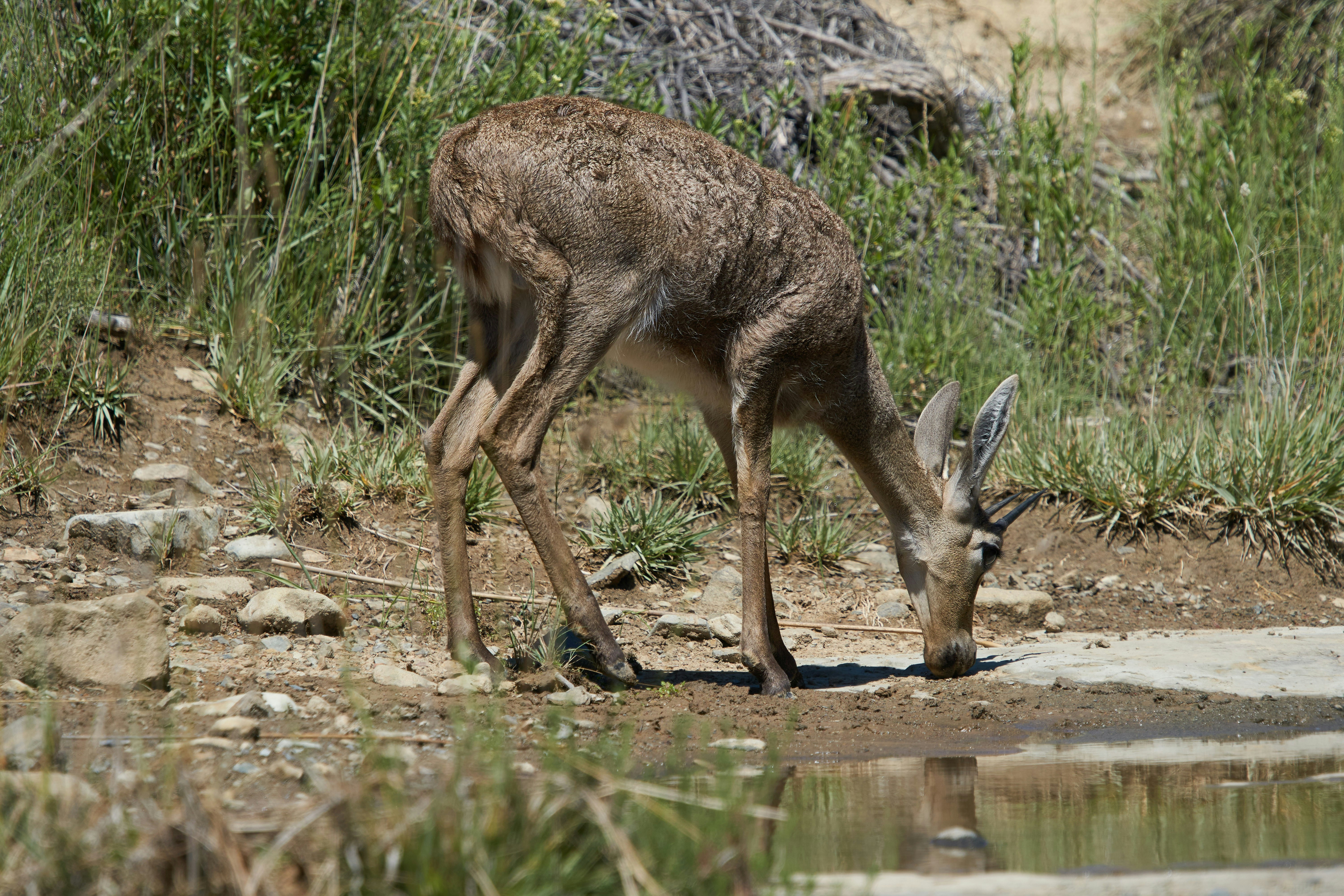 Photo by wolfgang_hasselmann