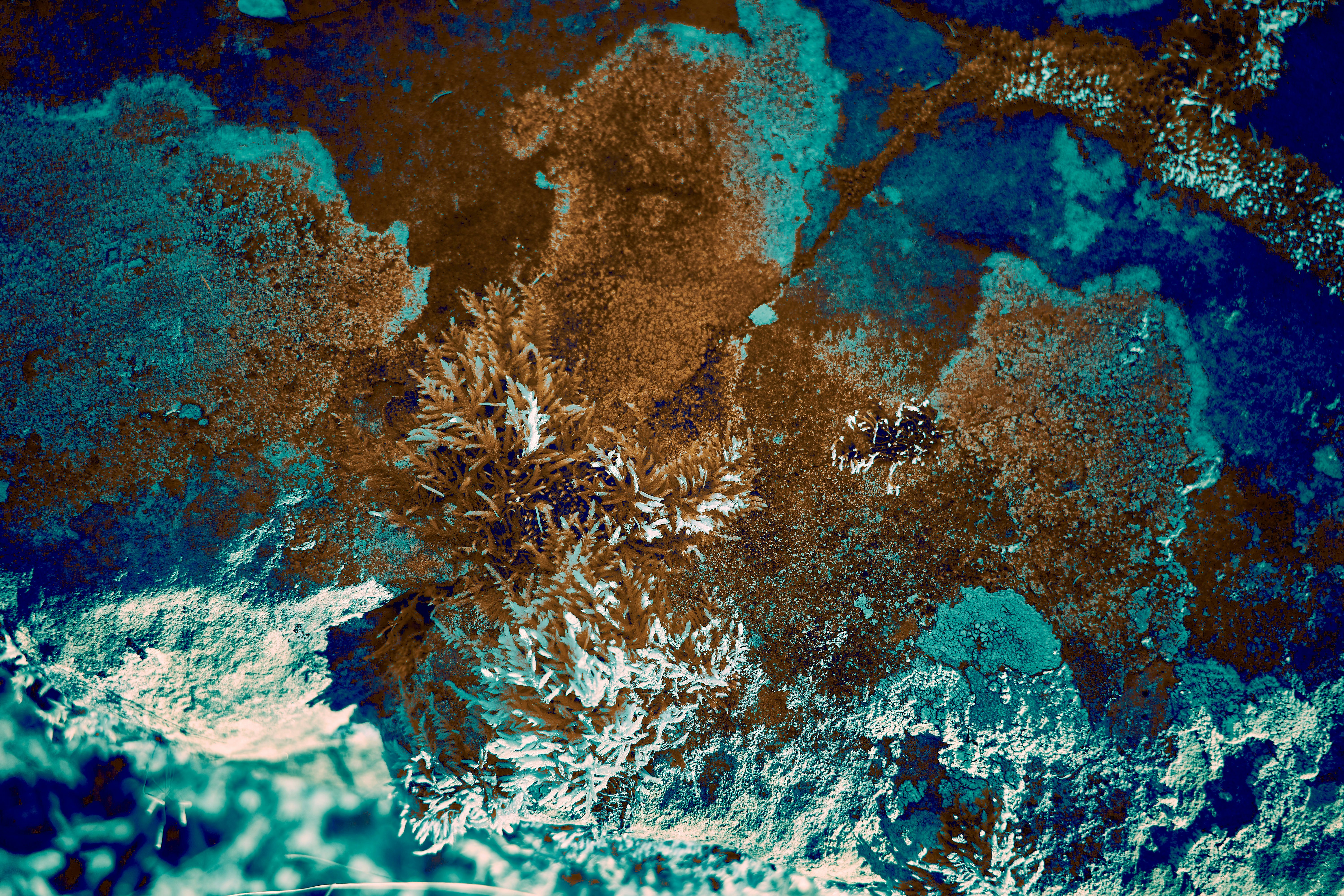 Photo by wolfgang_hasselmann