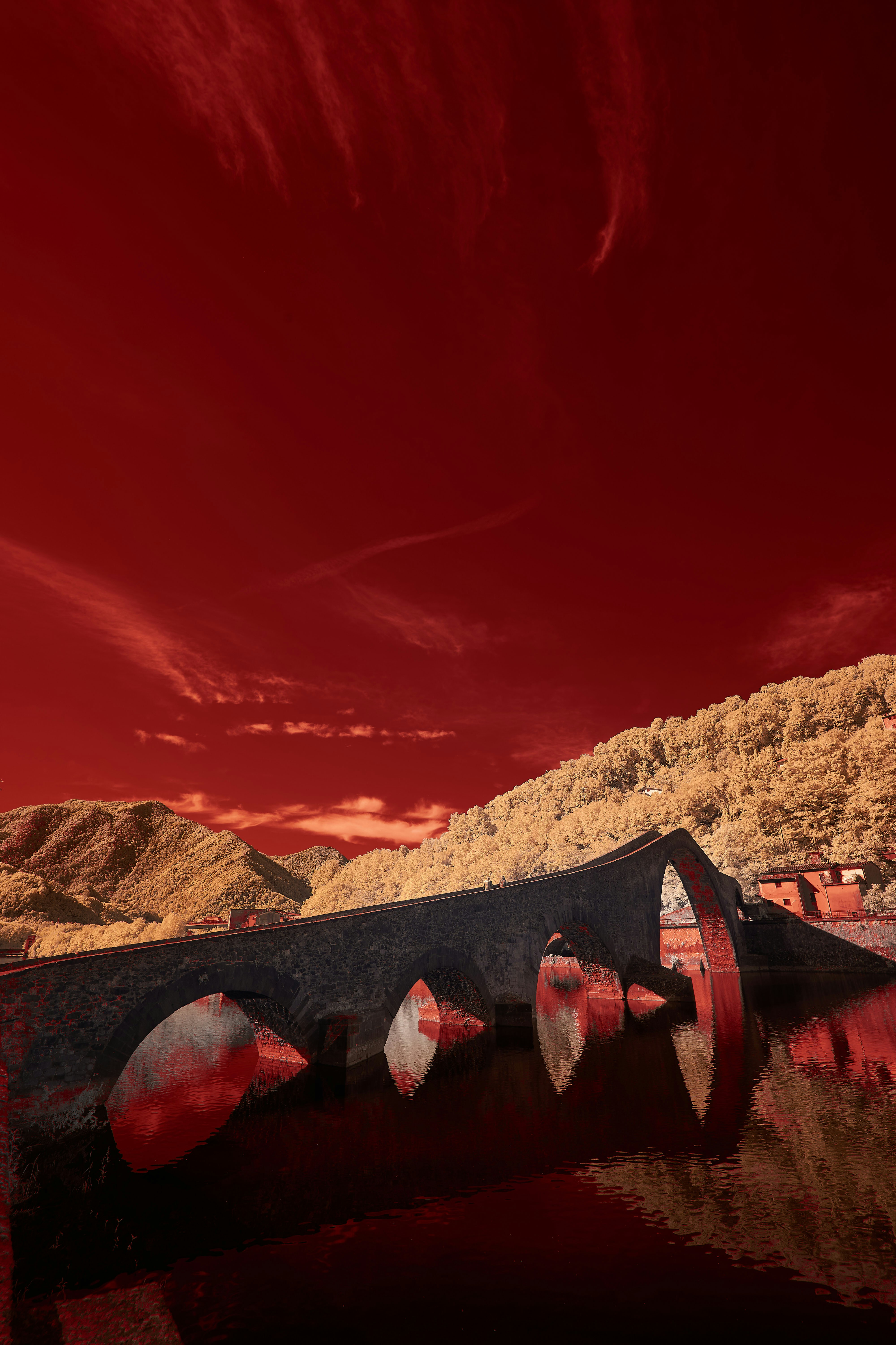 Photo by wolfgang_hasselmann