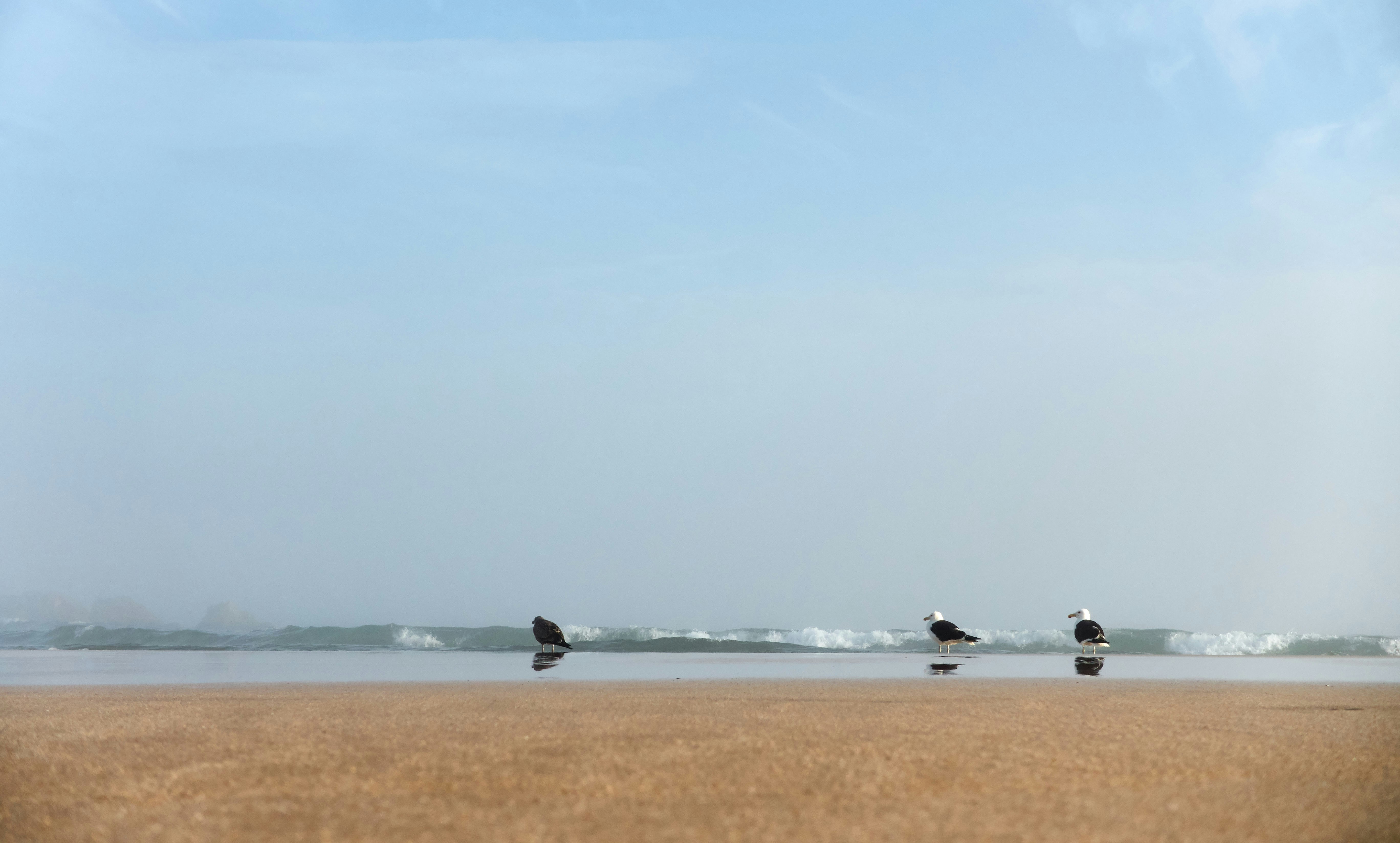 Photo by wolfgang_hasselmann