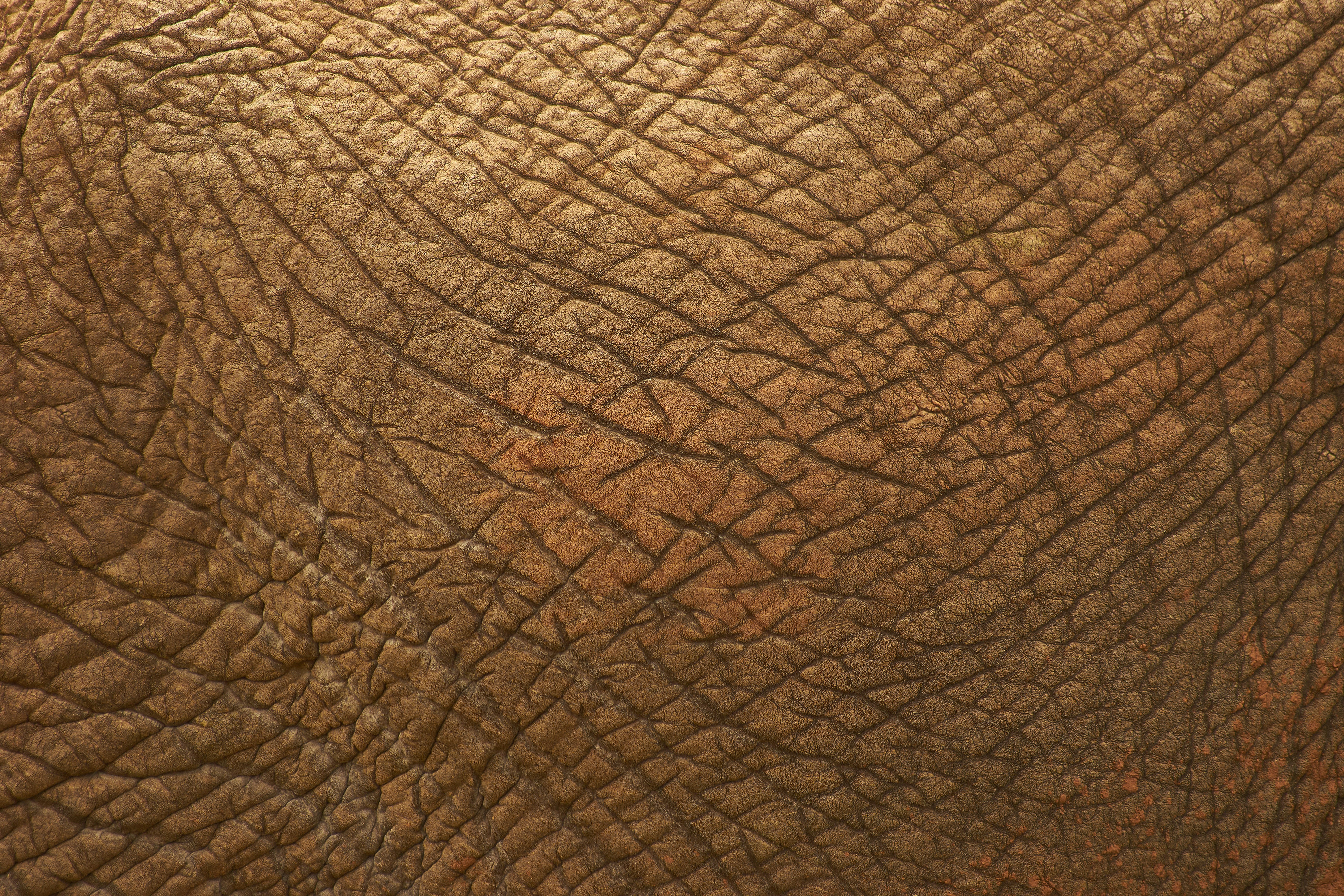 photo-1603038682240-4acedc754587?ixid=M3wxMjA3fDB8MXxzZWFyY2h8MTR8fDclMjAlRDklODQlRDglQUMlRDklODUlRDklOEElRDglQjklMjAlRDglQTclRDklODQlRDglQTglRDglQjQlRDglQjElMjAlRDglQjMlRDglQUElRDglQjElRDglQTklMjAlRDglQkElRDglQjElRDglQTglRDklOEElRDglQTklMjAlRDklODUlRDklODYlMjAlRDglQUMlRDklODQlRDglQUYlMjAlRDglQTclRDklODQlRDglQkElRDglQjIlRDglQTclRDklODQlMjAlRDglQTglRDglQTclRDklODQlRDklODQlRDklODglRDklODYlMjAlRDglQTclRDklODQlRDglQjElRDklODUlRDglQTclRDglQUYlRDklOEElMjAlRDglQTclRDklODQlRDklODUlRDglQkElRDglQTglRDglQjF8ZW58MHx8fHwxNzY1OTk3MDE0fDA\u0026ixlib=rb-4.1.0