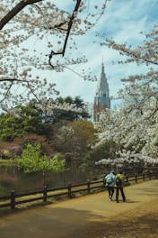 people walking on park near river during daytime