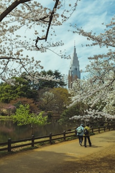 people walking on park near river during daytime