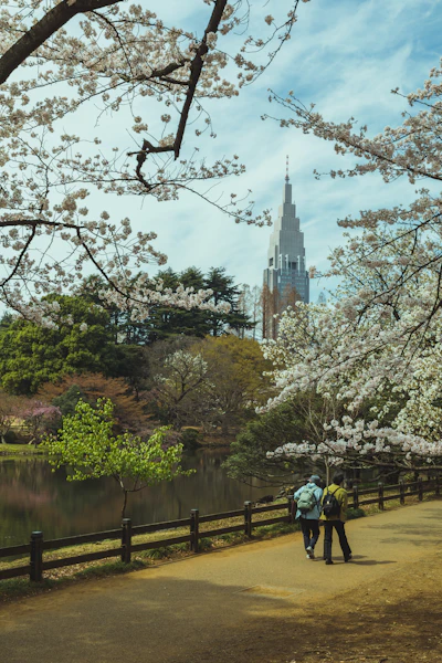 Visitors walking beside the pond at Shinjuku Gyoen, Tokyo
