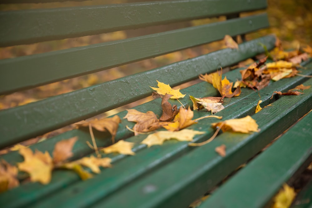 brown wooden bench with dried leaves