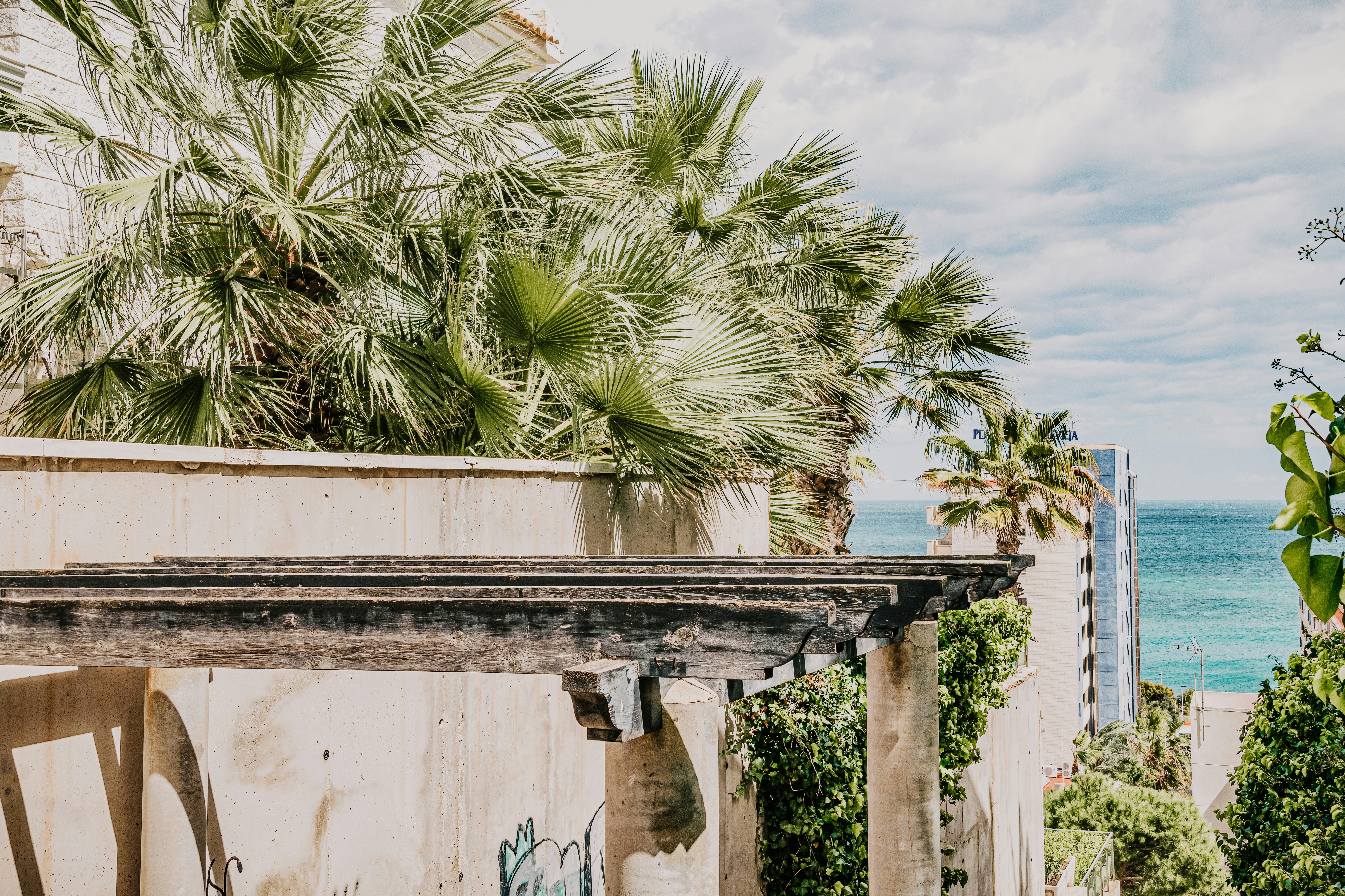 Photo by framesforyourheart