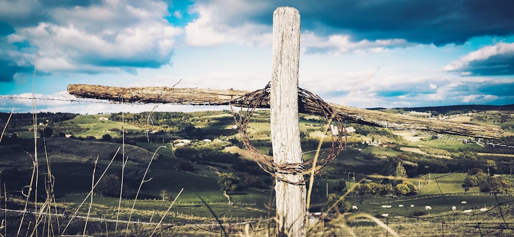 brown wooden post on lake during daytime