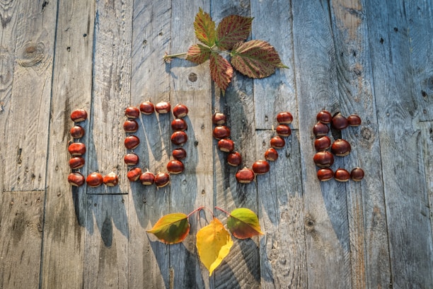 The word 'LOVE' is spelled out using chestnuts on a wooden surface. Above and below the letters are autumn leaves in various colors, including shades of red and yellow. The wooden planks are weathered and textured, adding a rustic feel to the arrangement.