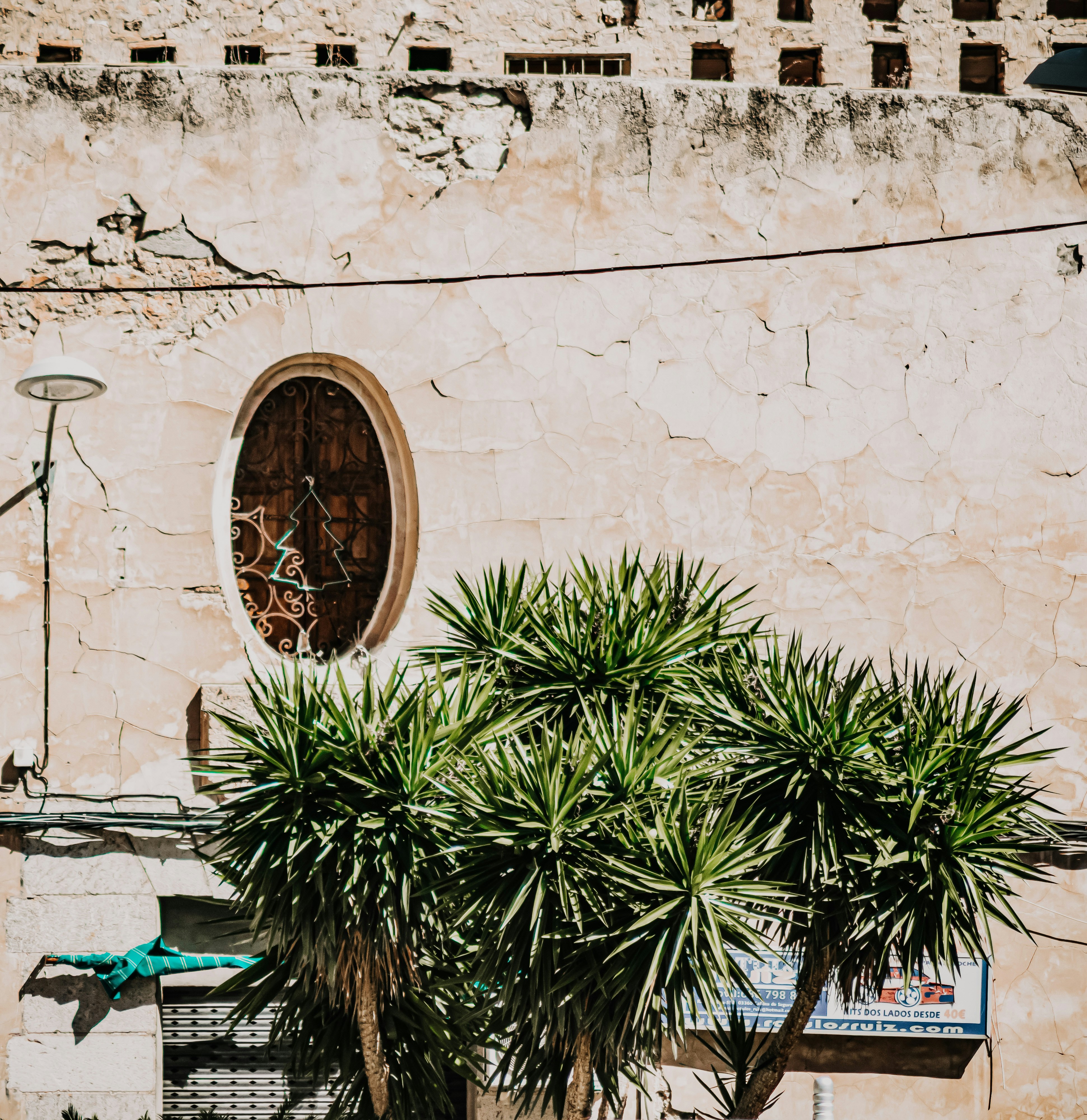 Photo by framesforyourheart