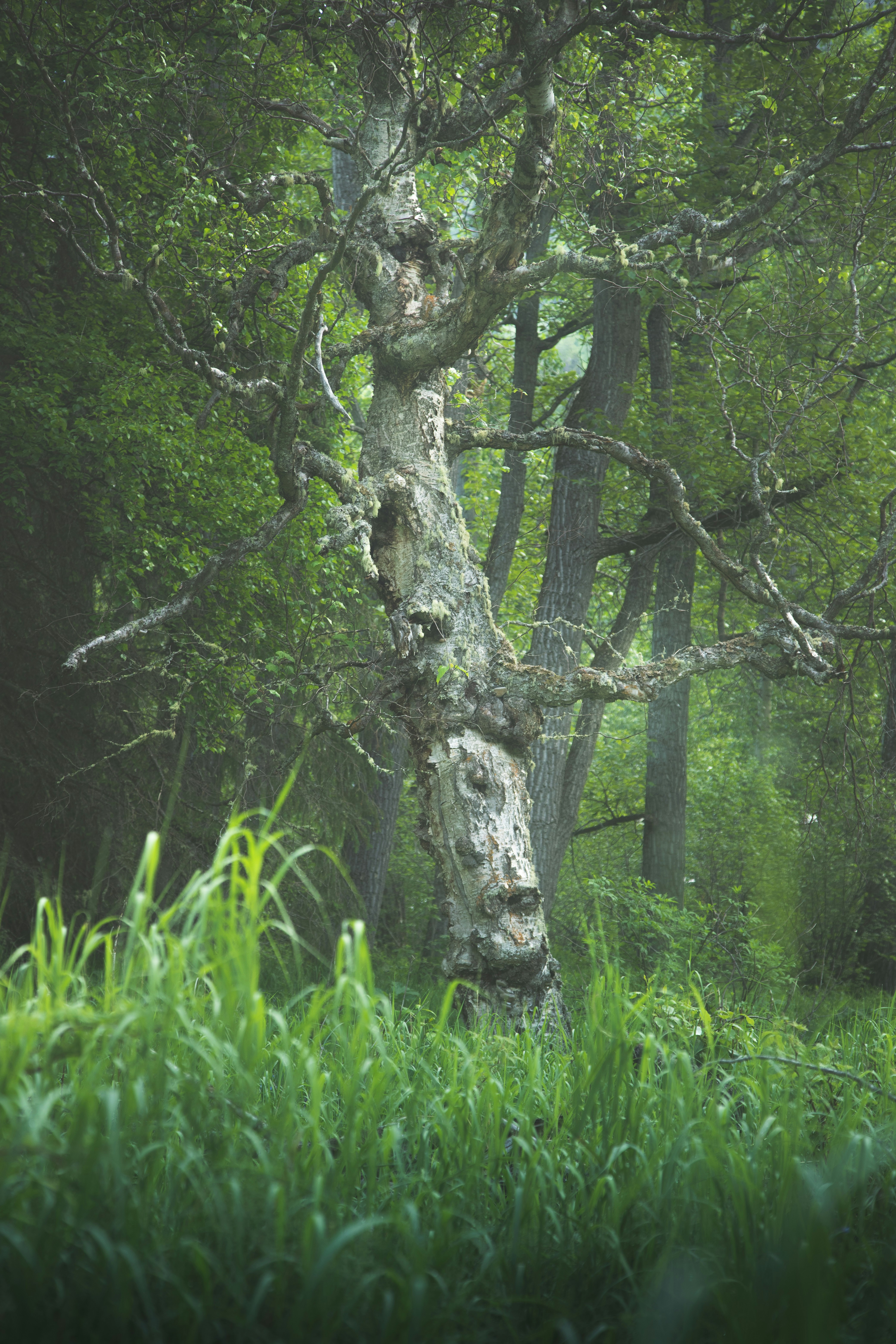 Photo by capturelight