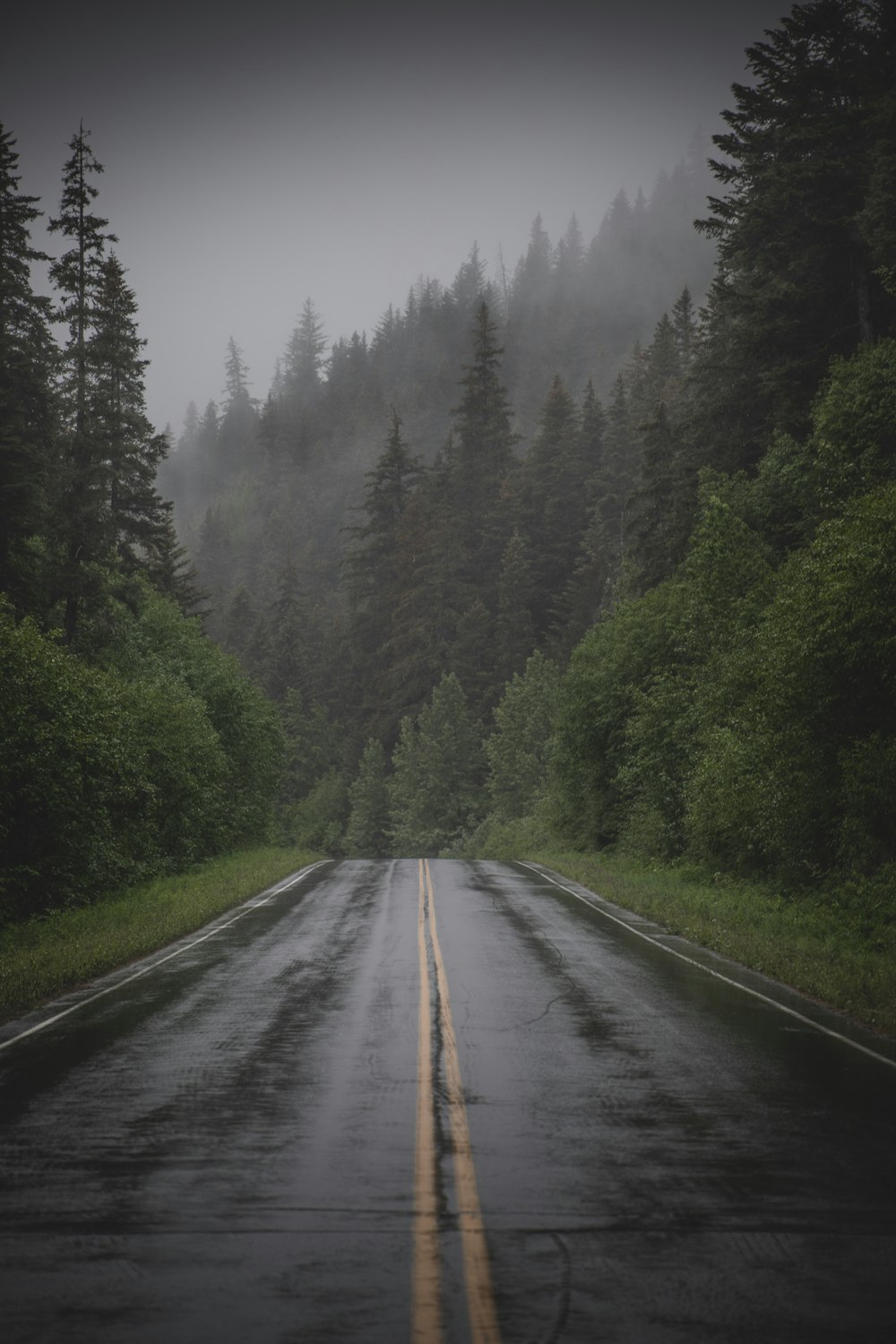 gray concrete road between green trees during daytime