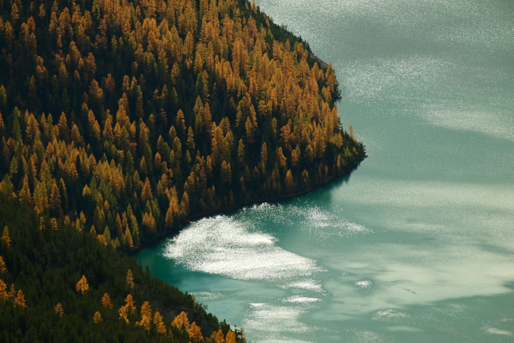 aerial view of green and brown mountain beside body of water during daytime