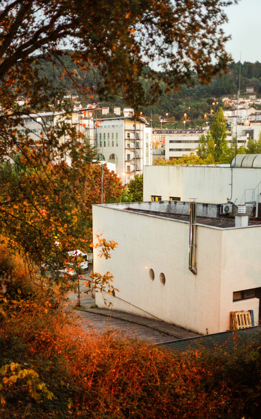 white concrete building near green trees during daytime